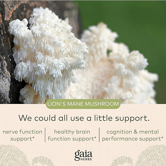 Gaia Herbs, Yamabushitake, 40 Vegan Capsules - BeesActive Australia