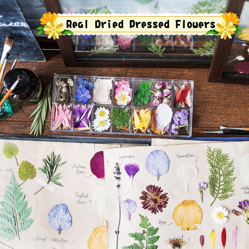 257 Pieces Resin Real Dried Pressed Flowers Leaves and Butterfly Stickers Set Multiple Natural Dry Flowers Daisies Butterfly Adhesive Decals for DIY Resin Jewelry Nail Pendant Art Floral Decors - BeesActive Australia