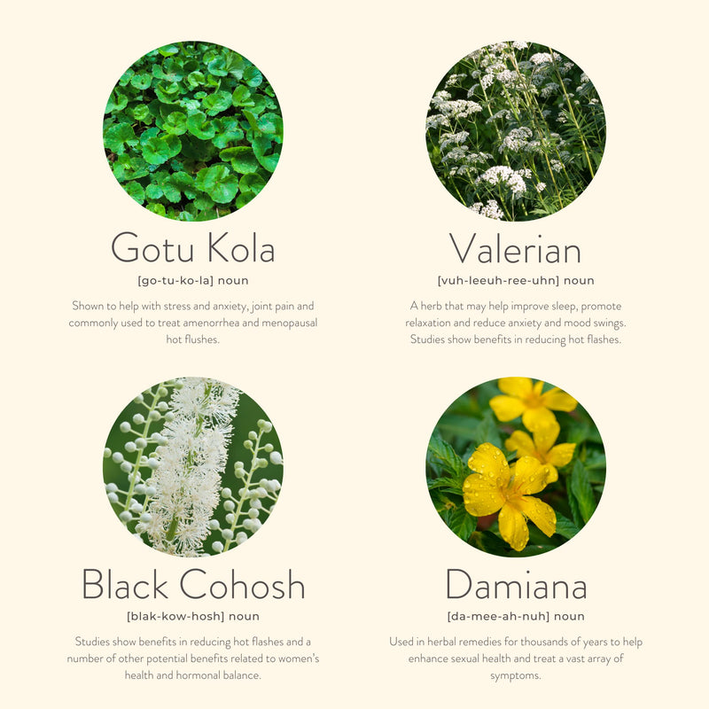 KLORIS Menopause Patches - Natural Support for Hot Flashes, Sleep, Night Sweats, Cramps & Mood - with Gotu Kola & More - BeesActive Australia