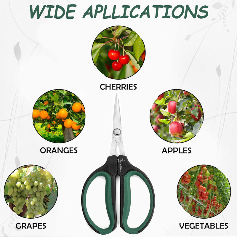 Yieldcropper Hydroponic 2-Pack Bonsai Scissors and Plant Trimming Shears Set - Stainless Steel Pruning Shears for Indoor Gardening, Succulent Harvest, and Precision Plant Care - BeesActive Australia