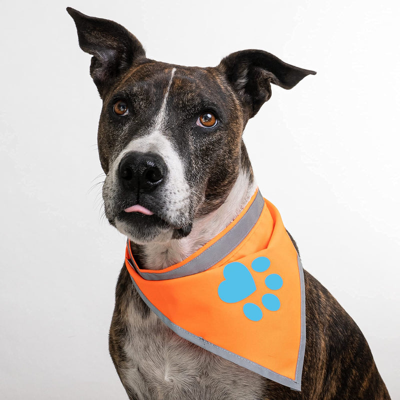 SafetyPUP XD Reflective Bandana. Hi Visibility Blaze Orange Dog Bandana Collar for Large and Small Pets. Ideal Dog Accessories for Walking, Camping, and Off Leash Exploration. - BeesActive Australia