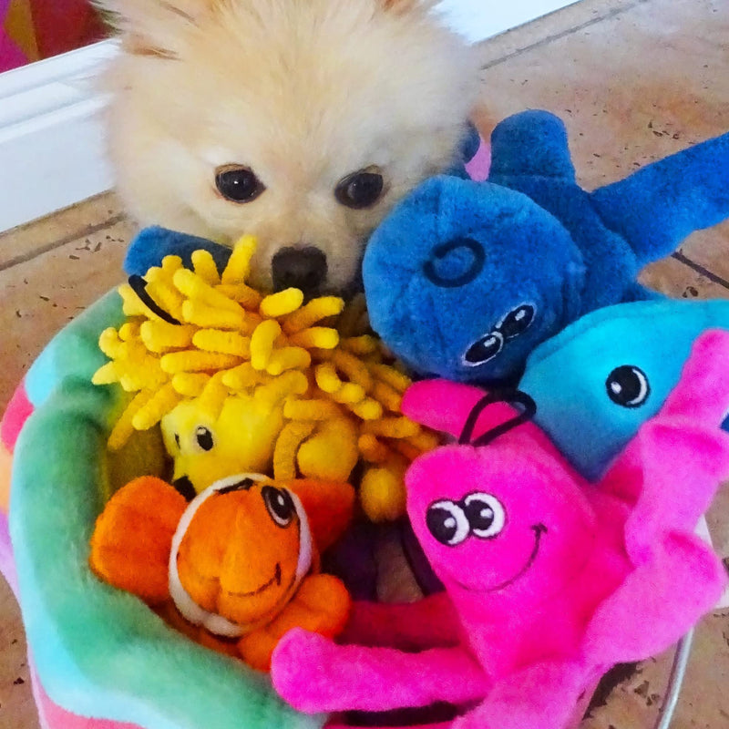 Snuggle Puppy Tender-Tuffs Tiny Hedgehog and Clownfish Plush Dog Toys Bundle - Tough Animal Squeaky Toys - BeesActive Australia