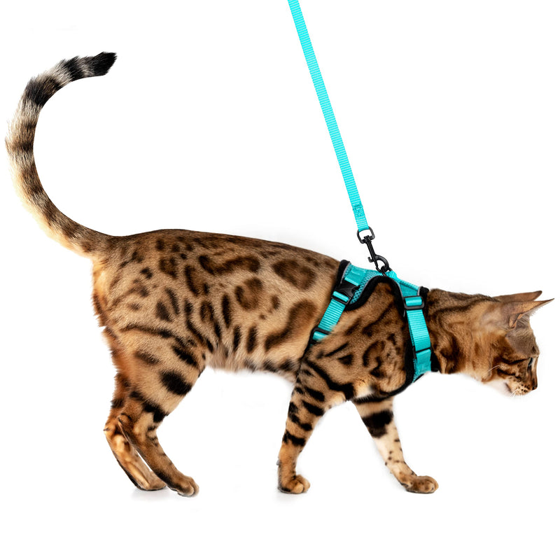 Mewo Cat Harness and Leash - Soft, Comfortable, Reflective, Sleek, & Adjustable, for a Safe & Snug Fit Extra Small - Kitten - BeesActive Australia