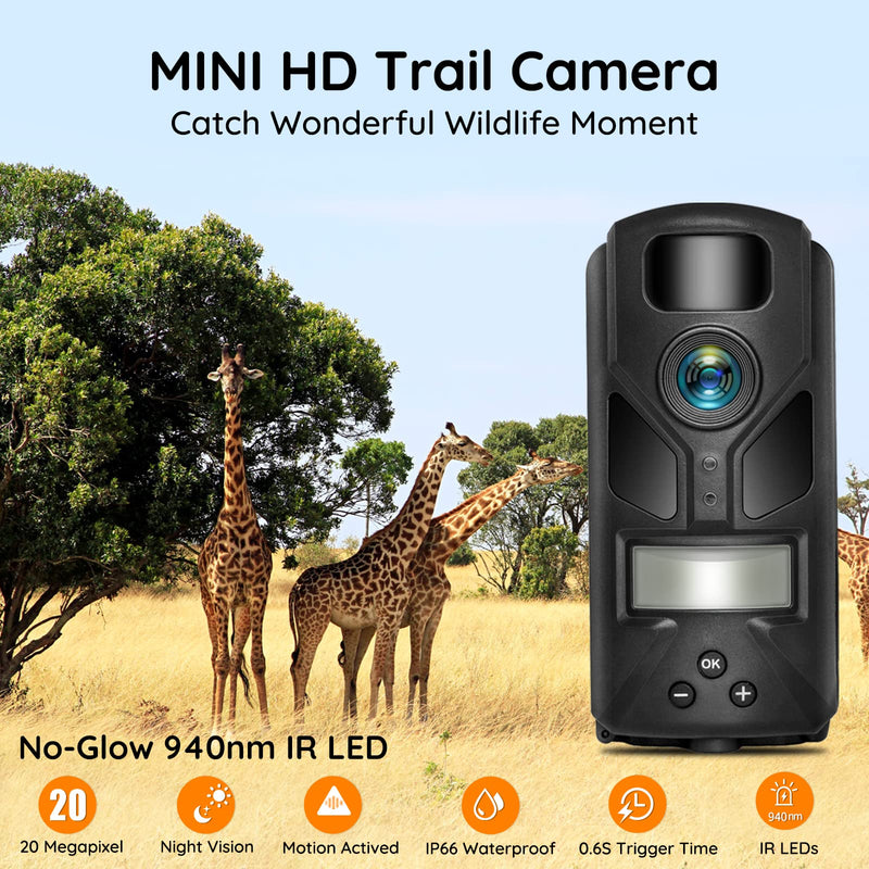 20MP Mini Trail Camera,1080P Hunting Trail Camera with No Glow 940nm Night Vision Motion Activated IP66 Waterproof,80ft Illumination Range Outdoor Expert Hunting Game Cam for Wildlife Monitoring - BeesActive Australia