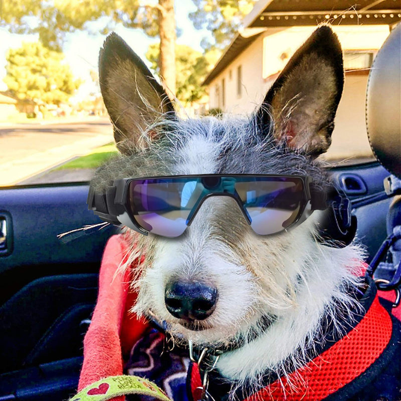 URBEST Dog Goggles, Eye Protection (New Version) for Small Dog Sunglasses Waterproof Windproof UV Protection for Doggy Puppy Cats Dark Blue - BeesActive Australia