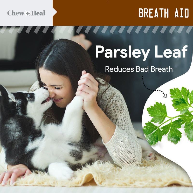 Stop The Poo Chew Coprophagia Treatment for Dogs - 120 Soft Chews Dog Treats for Bad Breath and Deterrent for Dogs Eating Poop - Boosts Gut Health - BeesActive Australia