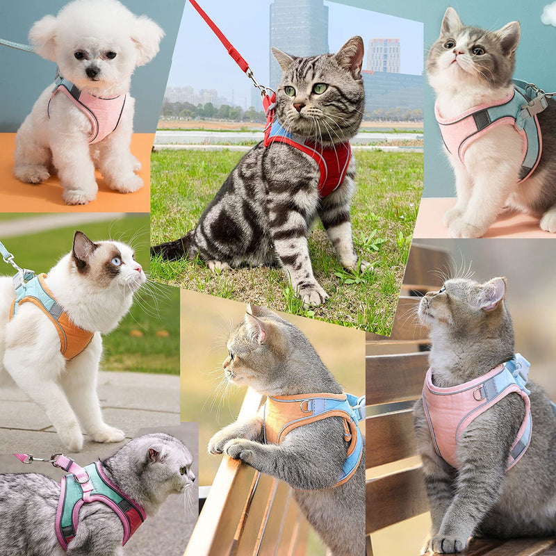 JSXD Cat Harness,Leash and Collar Set,Escape Proof Kitten Vest Harness for Walking,Easy Control Night Safe Pet Harness with Reflective Strap and Bell for Small Large Kitten,Fit for Puppy,Rabbit Small (Pack of 1) Orange/Blue - BeesActive Australia