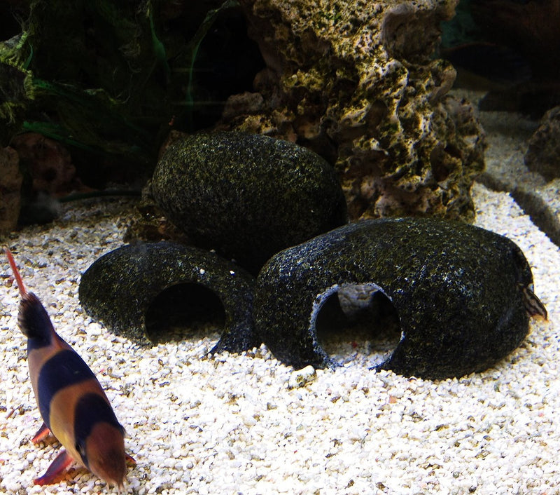 U.P. Aqua Cichlid Stone (medium) - BeesActive Australia