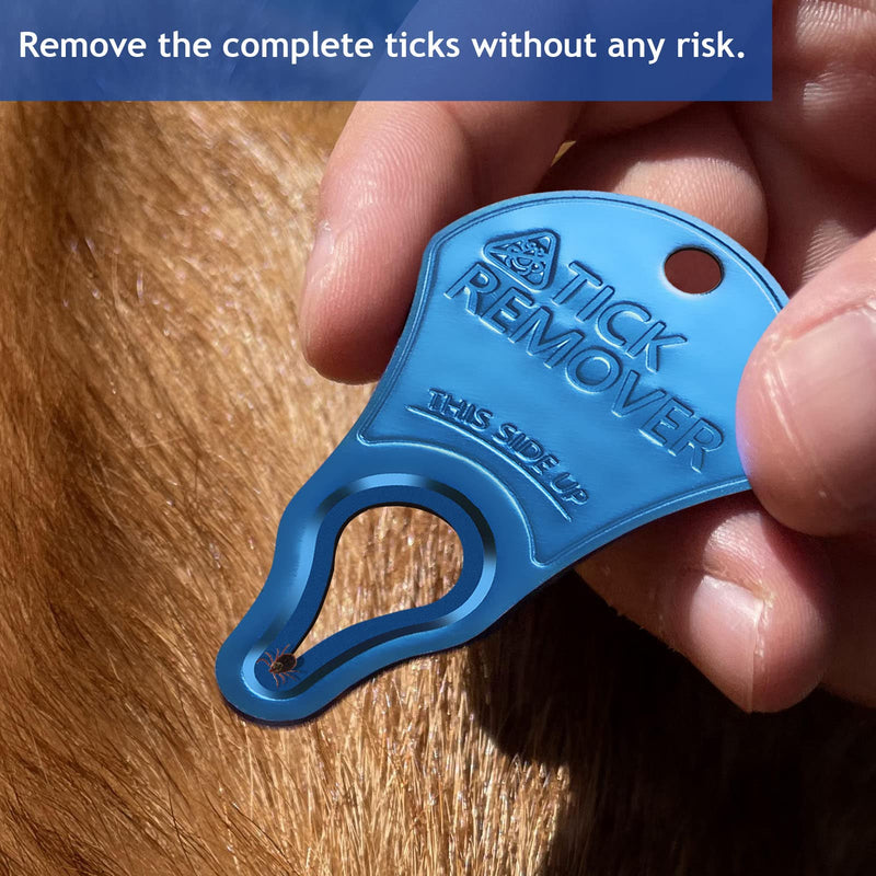 JOTOVO Tick Remover Tool Portable, Tick Removal for Pet and Humans, Safe and Reliable, Pain-Free, Essential Tools for Outdoor Activities- 3 pcs - BeesActive Australia