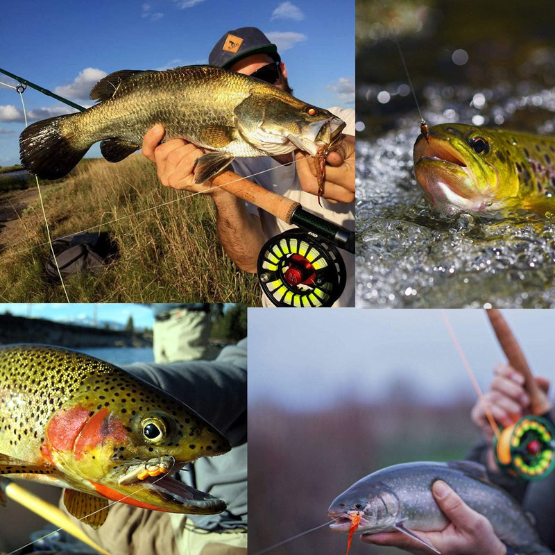 M MAXIMUMCATCH Maxcatch Fluorocarbon Leader Tippet Line for Fly Fishing with Tippet Line Holder & Tender, Clear, 50m/55Yds, 4PCS Fluorocarbon-4 Pieces with Holder/50M 3X+4X+5X+6X-50M-55Yds - BeesActive Australia