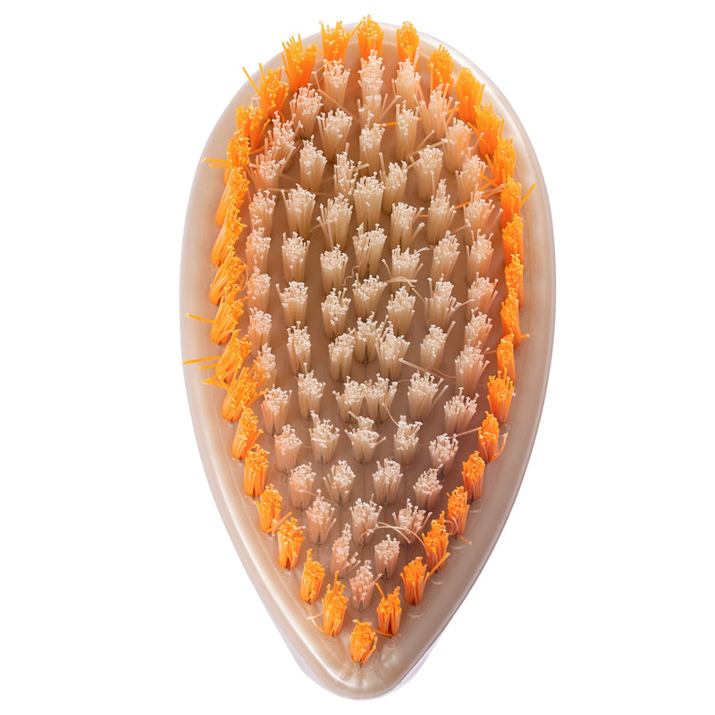 Stanley Home Products Super Scrubby Scrub Brush - All Purpose Cleaning Scrubber w/ Looped Handle For Scrubbing Vegetables, Laundry, Shoes, Car & Tub - Deep Multi Surface Cleaning For Home & Business 1 - BeesActive Australia