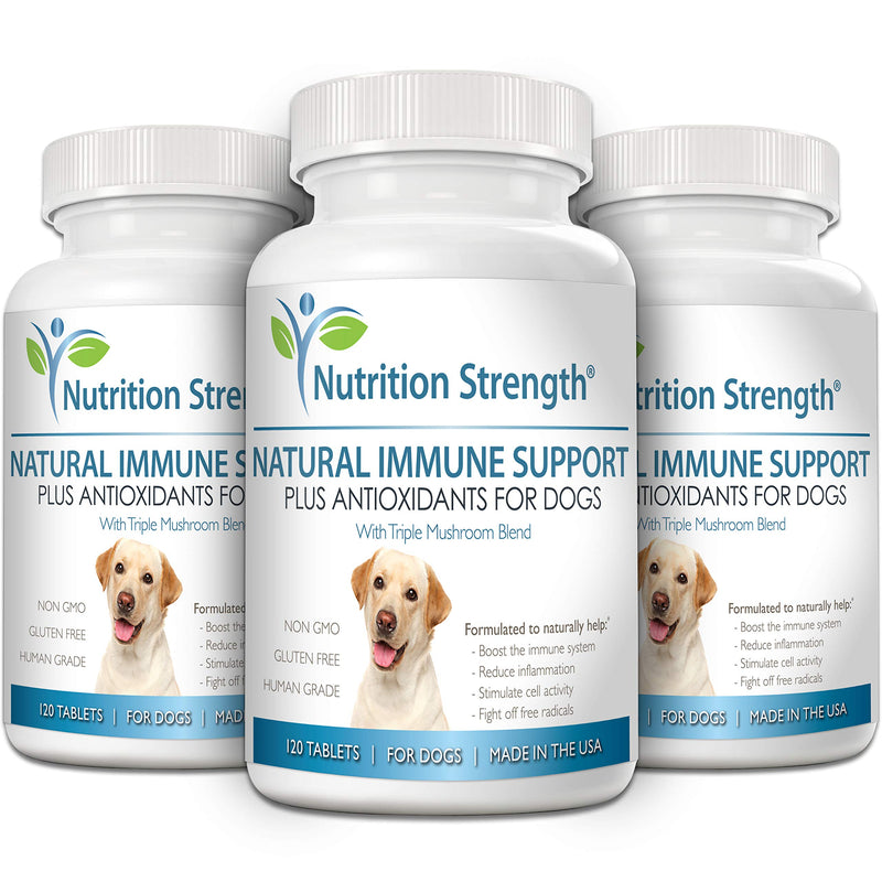 Nutrition Strength Immune Support for Dogs Plus Antioxidant, Reishi, Shiitake, Maitake, Turkey Tail Mushrooms for Dogs, with Coenzyme Q10, Nutritional Support for Dogs, 120 Chewable Tablets - BeesActive Australia
