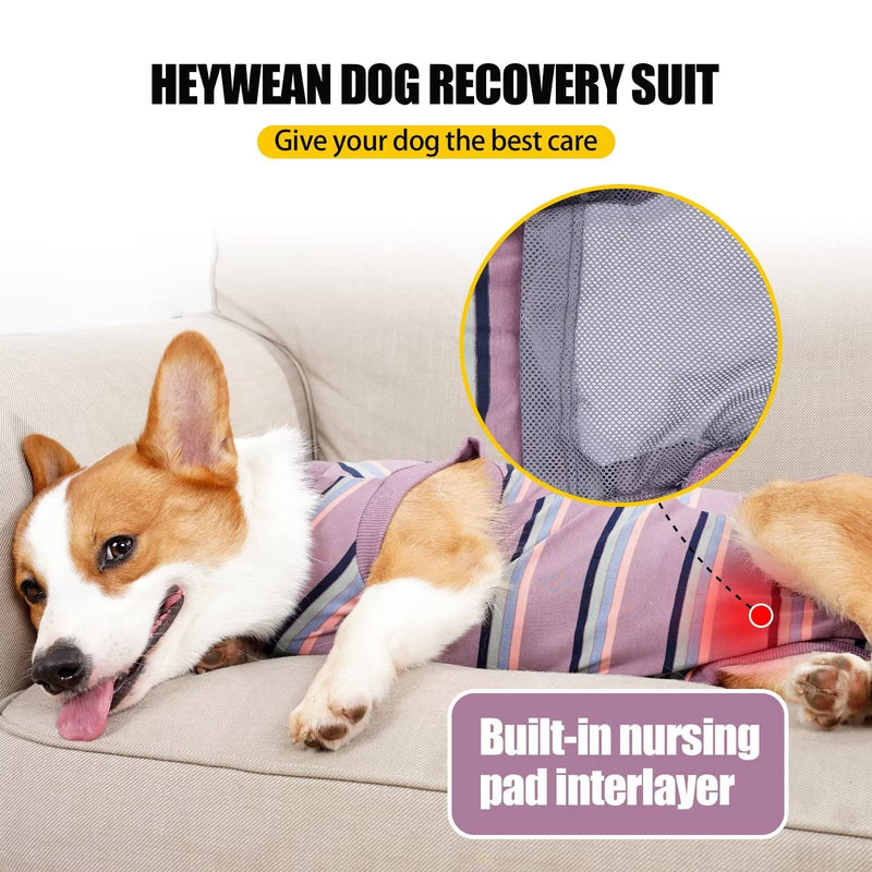 HEYWEAN Dog Surgical Recovery Suit for Dogs Keep Dog from Licking Abdominal Wound E-Collar Alternative After Surgery Wear Multicolour X-Large WineRed - BeesActive Australia