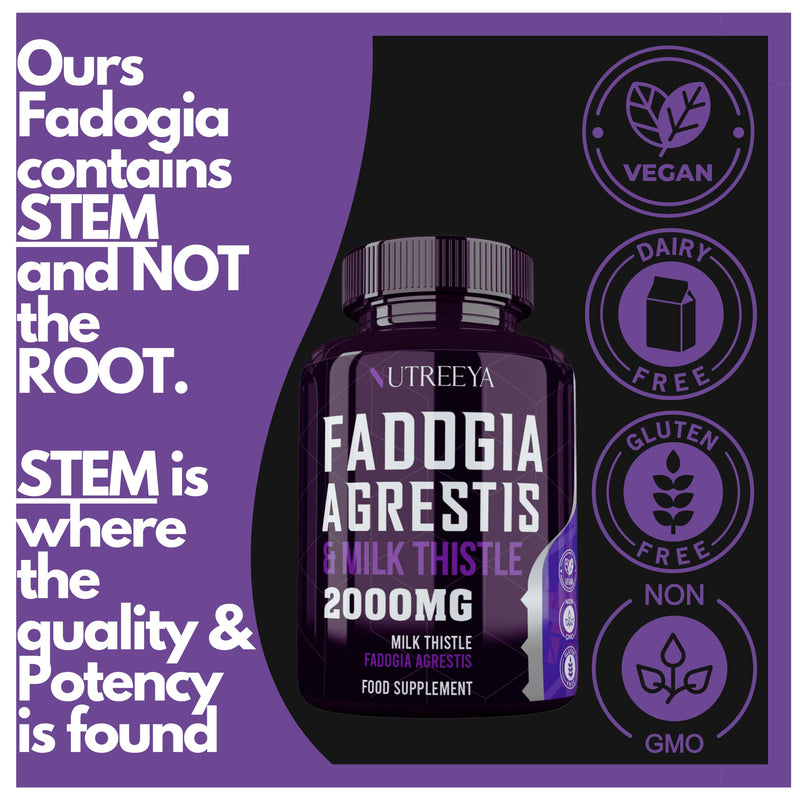 Fadogia Agrestis 2000mg 90 Vegan Tablets High Strength Fadogia Agrestis Extract Supplements - Athletic Performance & Muscle - Gluten Free, Non-GMO(Not Fadogia agrestis Capsule) (90 (Pack of 1) 90 (pack of 1) - BeesActive Australia