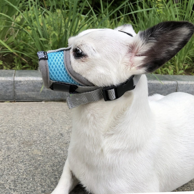 MoiiLavin Extra Small Dog Muzzle XS for Grooming Barking Chewing, Barkless Soft Mesh Muzzles to Prevent Eating Poop Things,Best for Aggressive Dogs (Grey-Blue) - BeesActive Australia