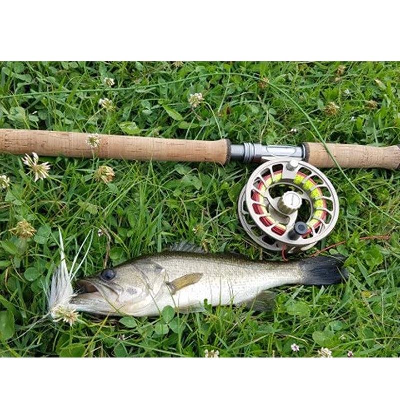 Aventik Fly Fishing Line Solid Floating Big Game Predator Saltwater Line Big Flies Tarpon Surf Line II 33ft Aggressive Head Short Front Taper Longer rear Taper Ultra Low Stretch Core Dual-Tone Welded Loops Line WF8 (7/8) - BeesActive Australia