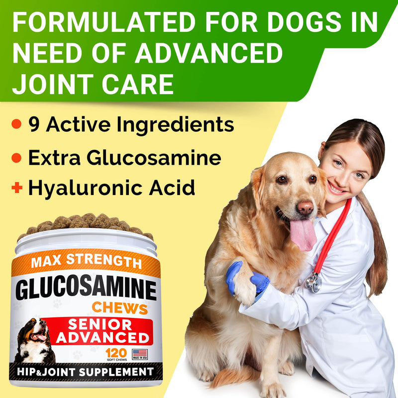 STRELLALAB Glucosamine Treats for Dogs - Joint Supplement w/Omega-3 Fish Oil - Chondroitin, MSM - Advanced Mobility Chews - Joint Pain Relief - Hip & Joint Care - Made in USA Bacon Senior Advanced - 120 Treats - BeesActive Australia