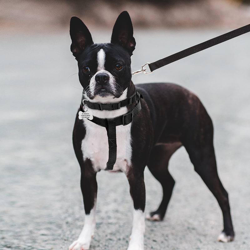 No Pull Dog Harness - Step in Easy Walking Dog Harness and Leash for Small Medium Large Dog - Escape Proof Adjustable Soft Nylon Full Body Dog Harness Leash Collar Set MEDIUM (chest: 17.3"-23.4" neck: 12"-16") Black - BeesActive Australia