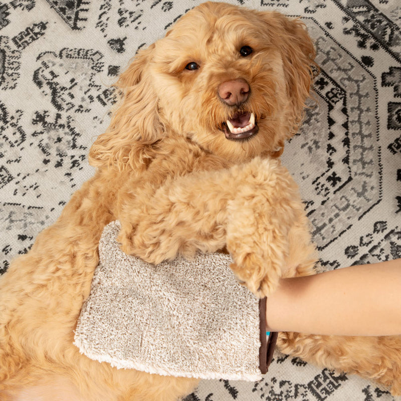 E-Cloth Pet Grooming & Massage Mitt, Microfiber Cleaning with Just Water - BeesActive Australia