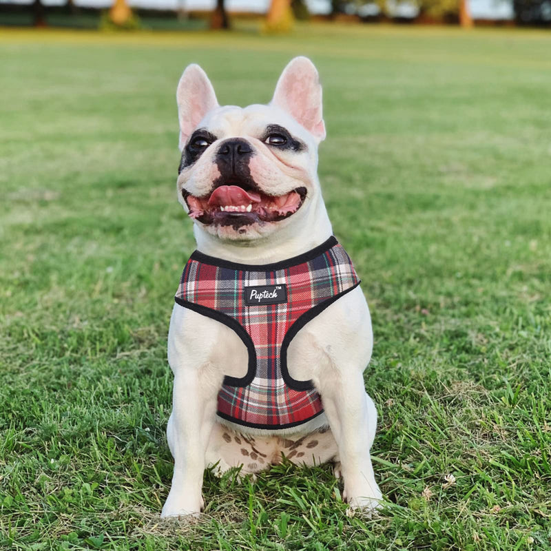 PUPTECK Soft Mesh Dog Harness Pet Puppy Cat Comfort Padded Vest No Pull Harnesses Small Red Mixed - BeesActive Australia