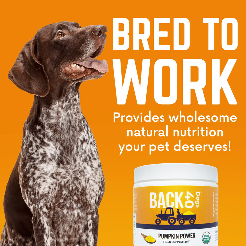 Back 40 Dogs - Natural Powdered Pumpkin for Dogs, Dog Multivitamin, Dog Vitamins for Digestive Health, Fiber Support with Vitamins A, C & E, 8.1 Oz - BeesActive Australia