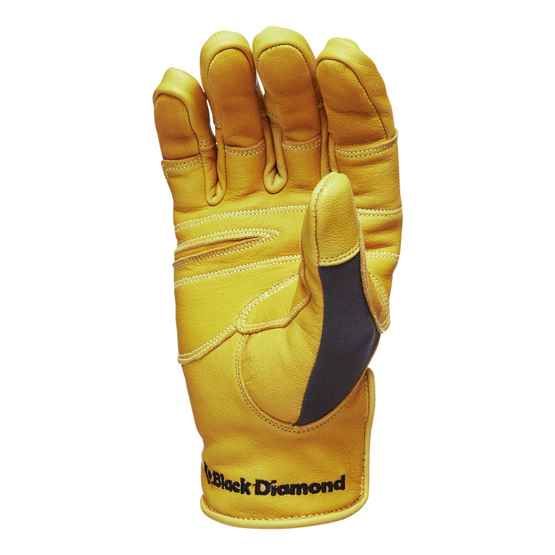 Black Diamond Equipment - Transition Gloves - Natural - Small - BeesActive Australia