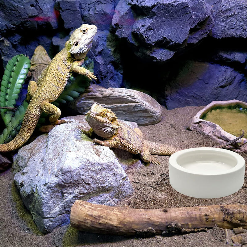 iHomeSet 3 Pcs Reptile Food Bowl with Feeding Tongs, Ceramic Water Feeder Bowl for Lizard Anoles Bearded Dragons Crested Gecko Hermit Crabs Triangular, White, 2.7 inch - BeesActive Australia