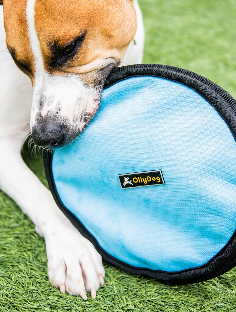 OllyDog Flyer Disc, Dog Frisbee, Lightweight and Floating, Dog Toys Interactive, Dog Stuff, Gentle on Teeth and Gums Pink - BeesActive Australia