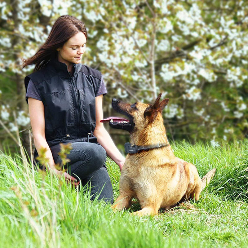 FunniPets Dog Training Collar, 2600ft Range Dog Shock Collar with Remote Waterproof Electronic Dog Collar with LED Light for Small Medium and Large Dogs (Only 1 Receiver Included) - BeesActive Australia