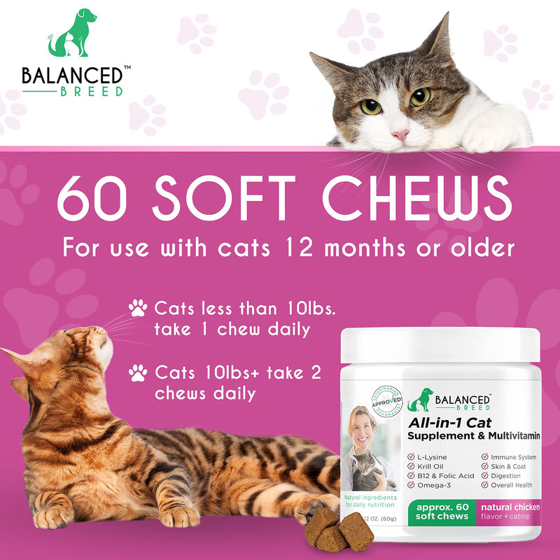 Balanced Breed L-Lysine for Cats Immune Support Skin Coat Sneezing Runny Nose Watery Eyes Cat Multivitamin Omega 3 Cat Vitamins B12 & Folic Acid Natural Booster Supplements Chicken Flavor Catnip Treat - BeesActive Australia