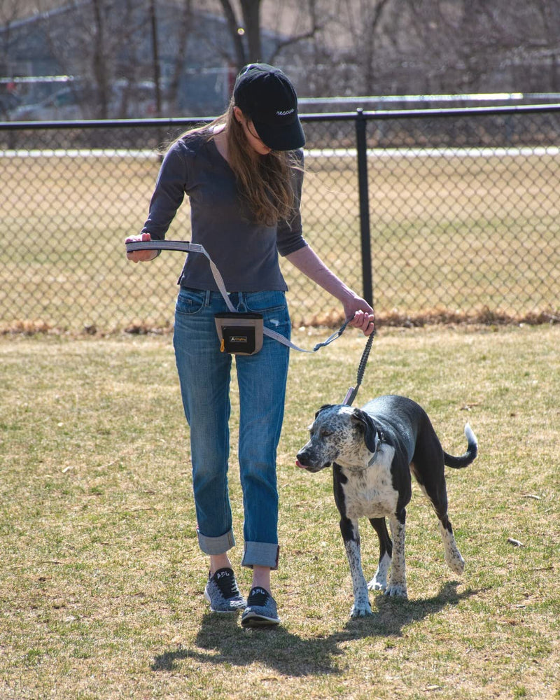 OllyDog Goodie Treat Bag, Dog Treat Pouch, Waist Belt Clip for Hands-Free Training, Magnetic Closure, Dog Training and Behavior Aids, Three Ways to Wear Raven - BeesActive Australia