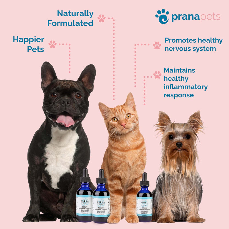 S Support by Prana Pets Naturally Relieves Seizures in Dogs and Cats | Herbal Formula Safely Aids in Reducing Anxiety, Seizures, and Helps Support Brain and Nervous System Function 1 Pack - BeesActive Australia