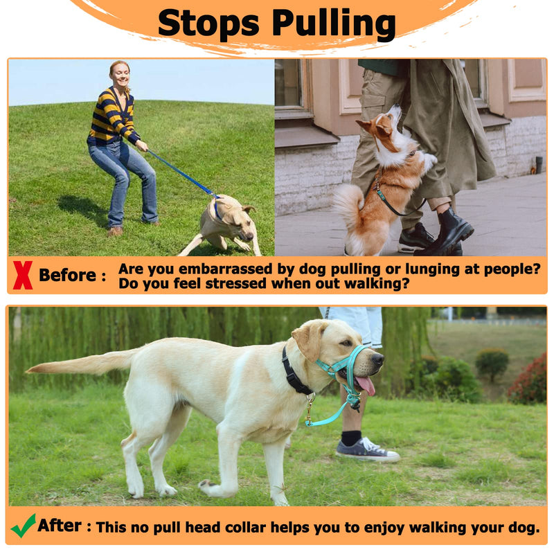 Dog Head Collar, No Pull Dog Halter with Soft Padding, Durable, Reflective Training Tool for Medium Large Dogs, Labrador, Stops Heavy Pulling and Easy Control on Walks, Includes Free Training Guide Turquoise - BeesActive Australia