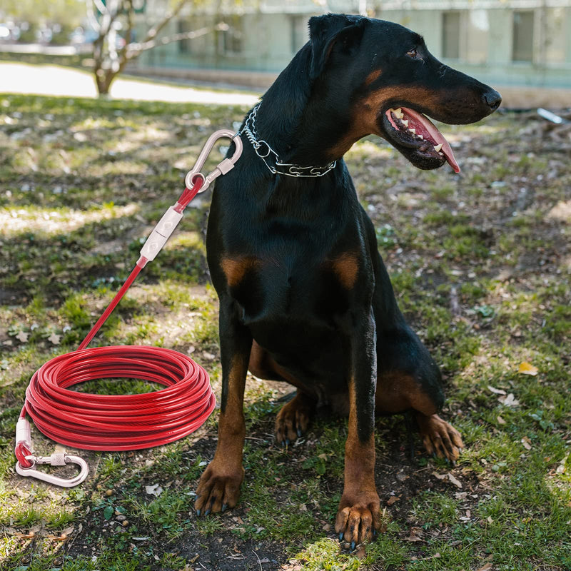 Strong Dog Tie Out Cable With Steel Bukle,10/20/30/50/100 ft Heavy Duty Tie Out Cable for Dogs Up to 250 lbs, Long Dog Training Leash for Medium Large Dogs,Anit Rust Chew Proof Dog Yard Lead Leash for Yard, Camping, Park, Outside 10ft Red - BeesActive Australia