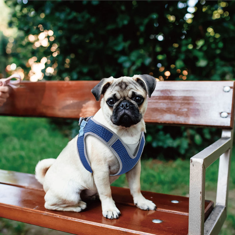 Kruz PET KZA308 Reflective V-Neck Step In Mesh Dog Harness - No Pull, Quick Fit, Comfortable, Velcro-Adjustable Pet Harnesses for Walking & Training - Small, Medium Dogs Gray - BeesActive Australia