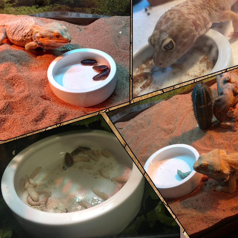 2Pcs Mini Reptile Food Dish Bowls Worm Water Dish Feeder Lizard Gecko Ceramic Pet Bowls with Tongs for Tortoise Lizard Bearded Dragon Frog Leopard Gecko Snake Chameleon(Small, 1.9 Inch) - BeesActive Australia