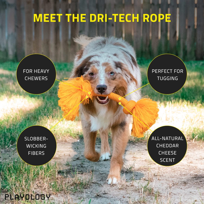 Playology Dri-Tech Ring Dog Toy - Engaging All-Natural Scented Dog Toys for Small, Medium & Large Dogs - Interactive & Tough Non-Toxic Chew Toys for Teething Large Rope Cheddar Cheese - BeesActive Australia