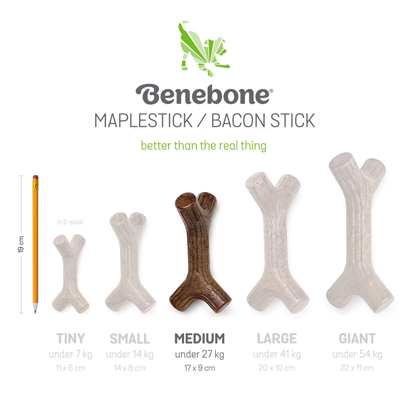 Benebone Maplestick/Bacon Stick Durable Dog Chew Toy for Aggressive Chewers, Made in USA REAL Maple Wood Medium - BeesActive Australia