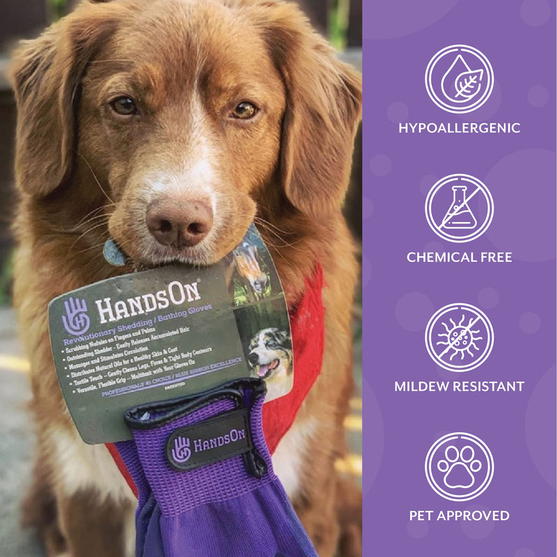 HandsOn Pet Grooming Gloves - Patented #1 Ranked, Award Winning Shedding, Bathing, & Hair Remover Gloves - Gentle Brush for Cats, Dogs, and Horses Grey Medium (Pack of 1) - BeesActive Australia