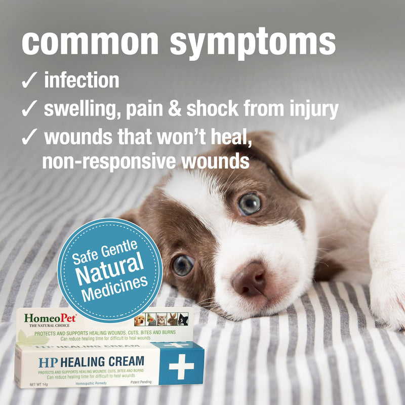 HomeoPet HP Healing Cream, Natural Support for Pet Wound Healing, 14 Grams - BeesActive Australia