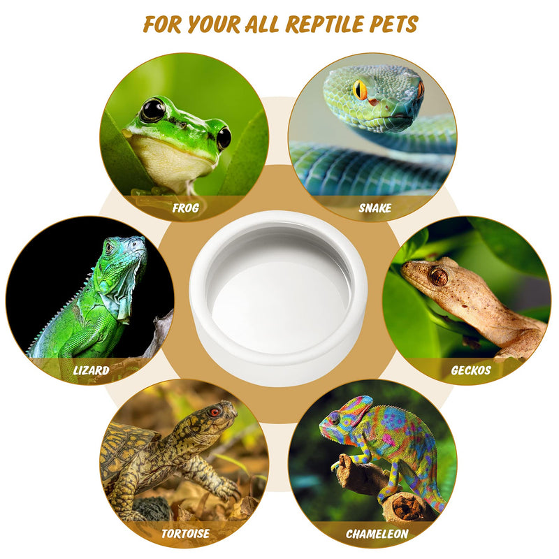 Reptile Food Dish Bowl, Worm Water Dish Small (2.75in) Lizard Gecko Ceramic Pet Bowls, Mealworms Bowls for Leopard Bearded Dragon Chameleon Hermit Crab Dubia Cricket Anti-Escape Mini Superworm Feeder Small-2Pack 1White - BeesActive Australia