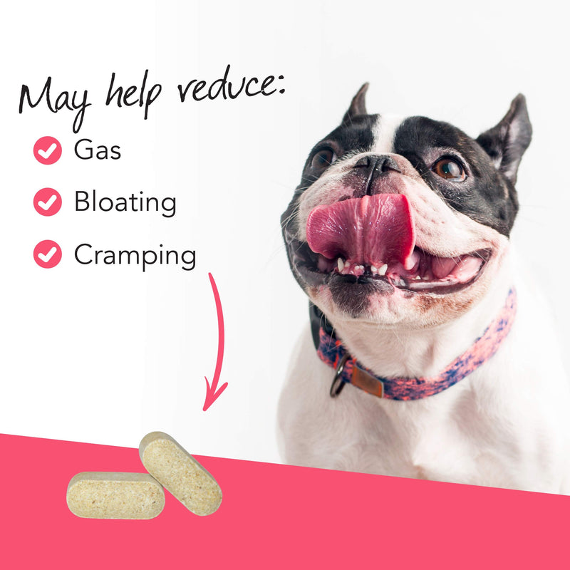 VetriScience Vetri Probiotic Bowel Defense and GI Support Supplement for Dogs, 120 Tablets - BeesActive Australia