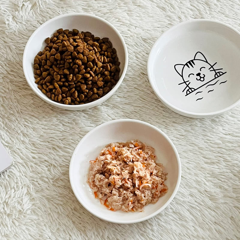 Y YHY Ceramic Cat Dishes, Cat Food Bowls Whisker-Friendly, Cat Bowls for Food and Water, Wide and Shallow Pet Dishes for Cat, Kitten, Kitty, and Rabbits, 3 Pack, 5 OZ, White - BeesActive Australia