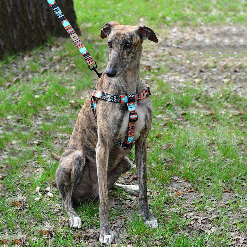 CollarDirect Adjustable Dog Harness Tribal Pattern Step-in Small Medium Large, Comfort Harness for Dogs Puppy Outdoor Walking Pattern 1 - BeesActive Australia
