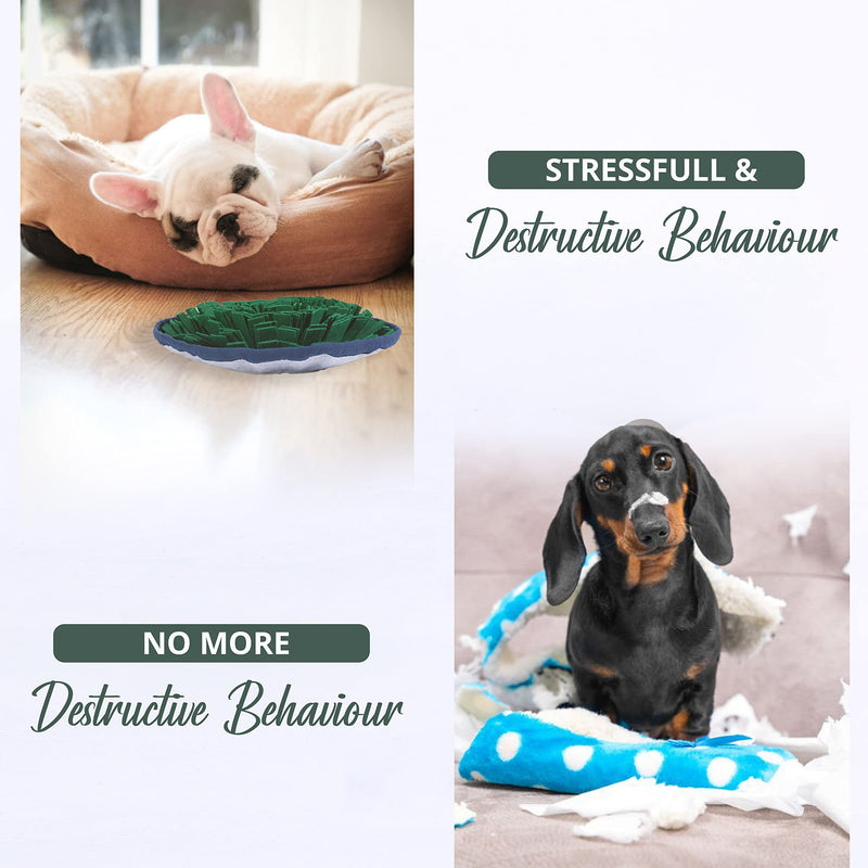 PET ARENA Adjustable Snuffle mat for Dogs, Dog Puzzle Toys, Enrichment Pet Foraging mat for Smell Training and Slow Eating, Stress Relief Interactive Dog Toy for Feeding, Dog Mental Stimulation Toys - BeesActive Australia