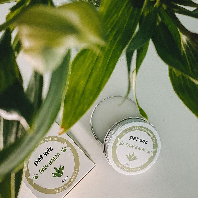 Paw & Nose Balm for Dogs & Cats - Organic & Natural Ingredients - Organic Paw and Nose Balm for Dogs and Cats - Coconut Oil, Shea Butter, Vitamin E & Aloe - BeesActive Australia