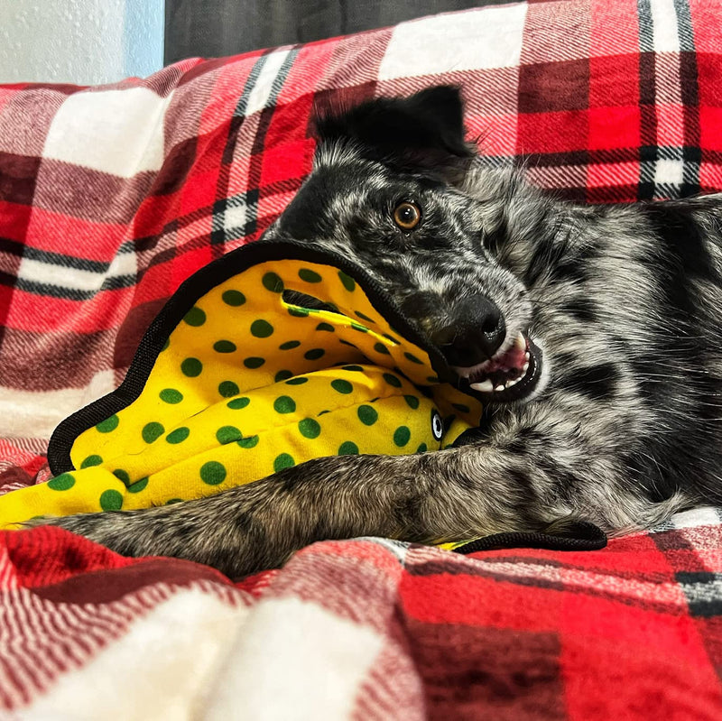 Snuggle Puppy Tender-Tuffs - Yellow Stingray Tug of War Plush Dog Toy - Great for Play and Interaction with Puncture Resistant Squeaker - BeesActive Australia