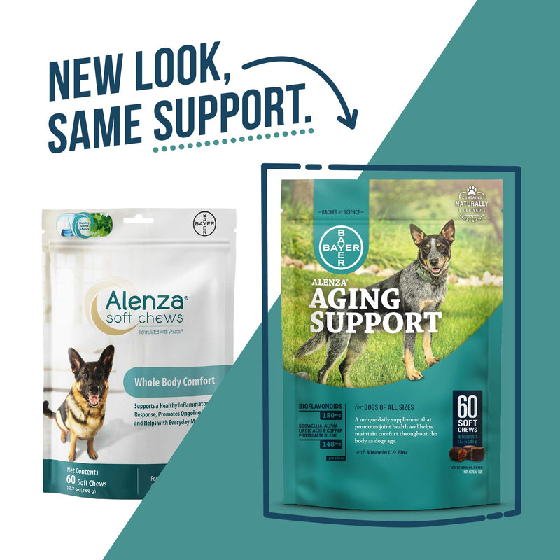 Alenza Soft Chews Aging Support for Dogs 60 count - BeesActive Australia