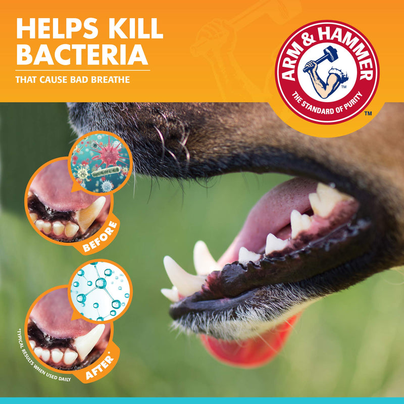 Arm and Hammer Fresh Breath Dental Kit for Pets - Pet Toothbrush and Pet Toothpaste with Baking Soda - Oral Care Dental Kit for Cat and Dog Teeth Cleaning - Toothbrushing Kit for Pets Dogs - Chicken Flavor 1 Pack - BeesActive Australia