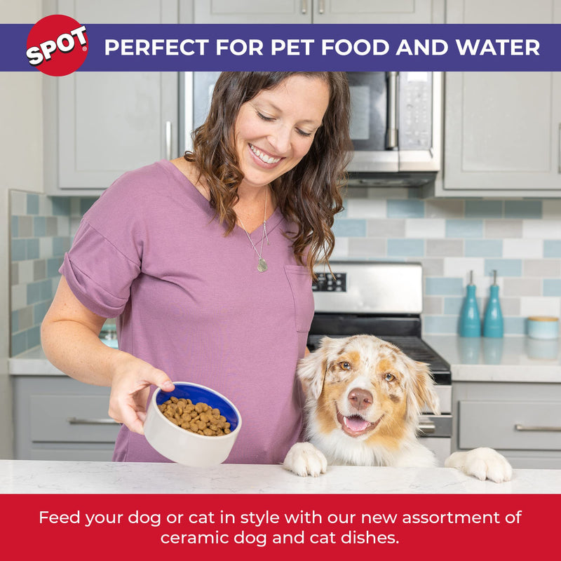 Ethical 4.75-Inch Stoneware Crock Dog Dish (6115) - BeesActive Australia